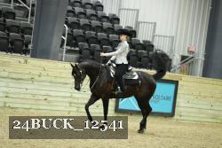 24BUCK_12541 proof