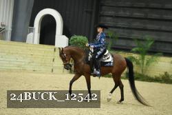 24BUCK_12542 proof