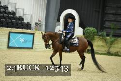 24BUCK_12543 proof