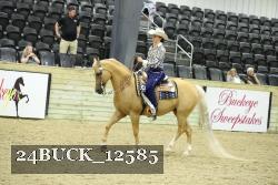 24BUCK_12585 proof