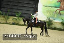 24BUCK_12591 proof
