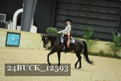 24BUCK_12593 proof