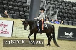 24BUCK_12595 proof