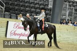 24BUCK_12596 proof