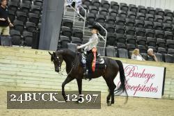 24BUCK_12597 proof