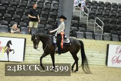 24BUCK_12599 proof