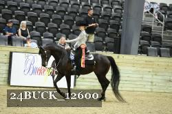 24BUCK_12600 proof