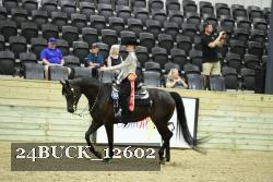 24BUCK_12602 proof