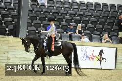 24BUCK_12603 proof