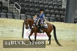 24BUCK_12608 proof