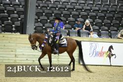 24BUCK_12612 proof