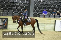 24BUCK_12613 proof