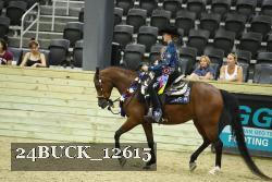 24BUCK_12615 proof