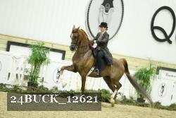 24BUCK_12621 proof