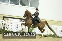 24BUCK_12622 proof