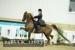 24BUCK_12623 proof