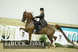 24BUCK_12624 proof