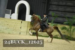24BUCK_12625 proof