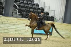 24BUCK_12626 proof