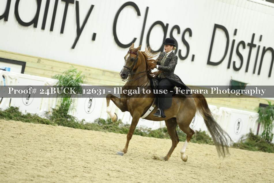 Proof 24BUCK_12631