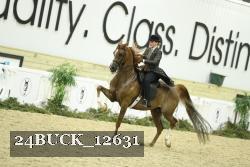 24BUCK_12631 proof