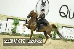 24BUCK_12632 proof