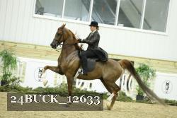 24BUCK_12633 proof