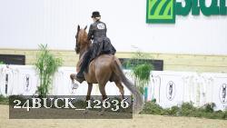 24BUCK_12636 proof
