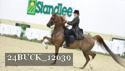 24BUCK_12639 proof