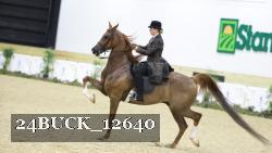 24BUCK_12640 proof