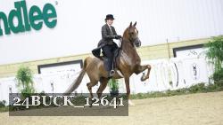24BUCK_12641 proof