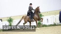 24BUCK_12642 proof