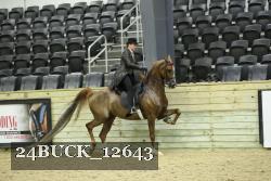 24BUCK_12643 proof