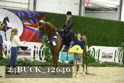 24BUCK_12646 proof