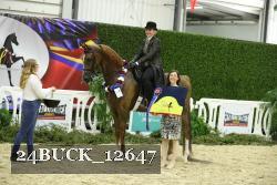 24BUCK_12647 proof