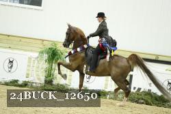 24BUCK_12650 proof