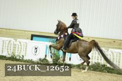 24BUCK_12652 proof