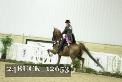 24BUCK_12653 proof
