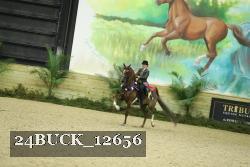 24BUCK_12656 proof