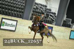 24BUCK_12657 proof