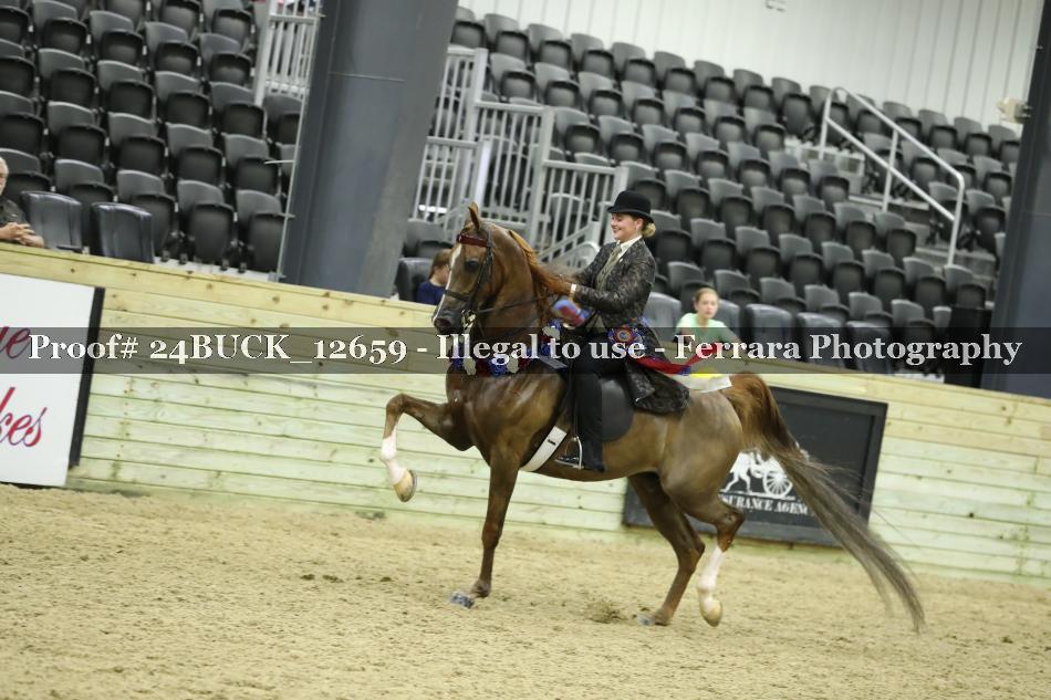 Proof 24BUCK_12659
