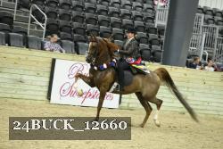24BUCK_12660 proof