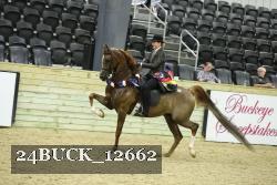 24BUCK_12662 proof