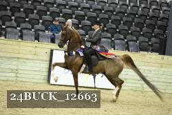 24BUCK_12663 proof