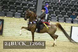 24BUCK_12664 proof