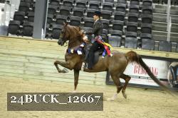 24BUCK_12667 proof