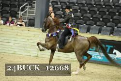 24BUCK_12668 proof