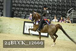 24BUCK_12669 proof