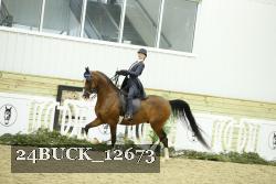 24BUCK_12673 proof