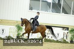 24BUCK_12674 proof